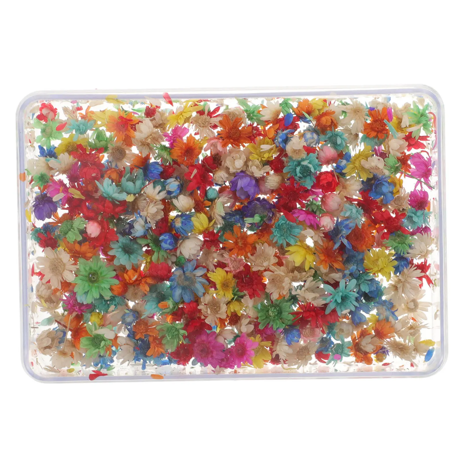 Dried Flower Materi…