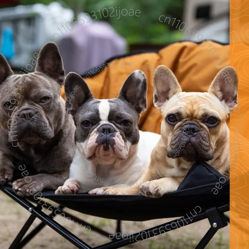 Foldable Pet Bed: Dual-purpose for Indoor and Outdoor Use; Raised Off The Ground To Keep Pets Dry; Suitable for Both Cat and Dog
