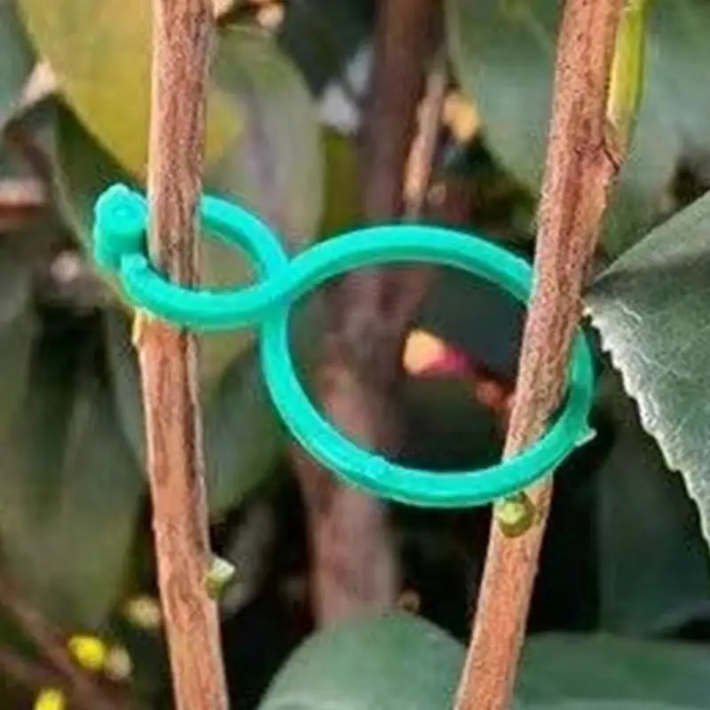 Klip Tempat Tanaman Rambat Gesper Berbentuk 8 50/100 Buah Klip Berdiri Tanaman Rambat Mentimun untuk Alat Berkebun Penopang Batang Tanaman Memanjat