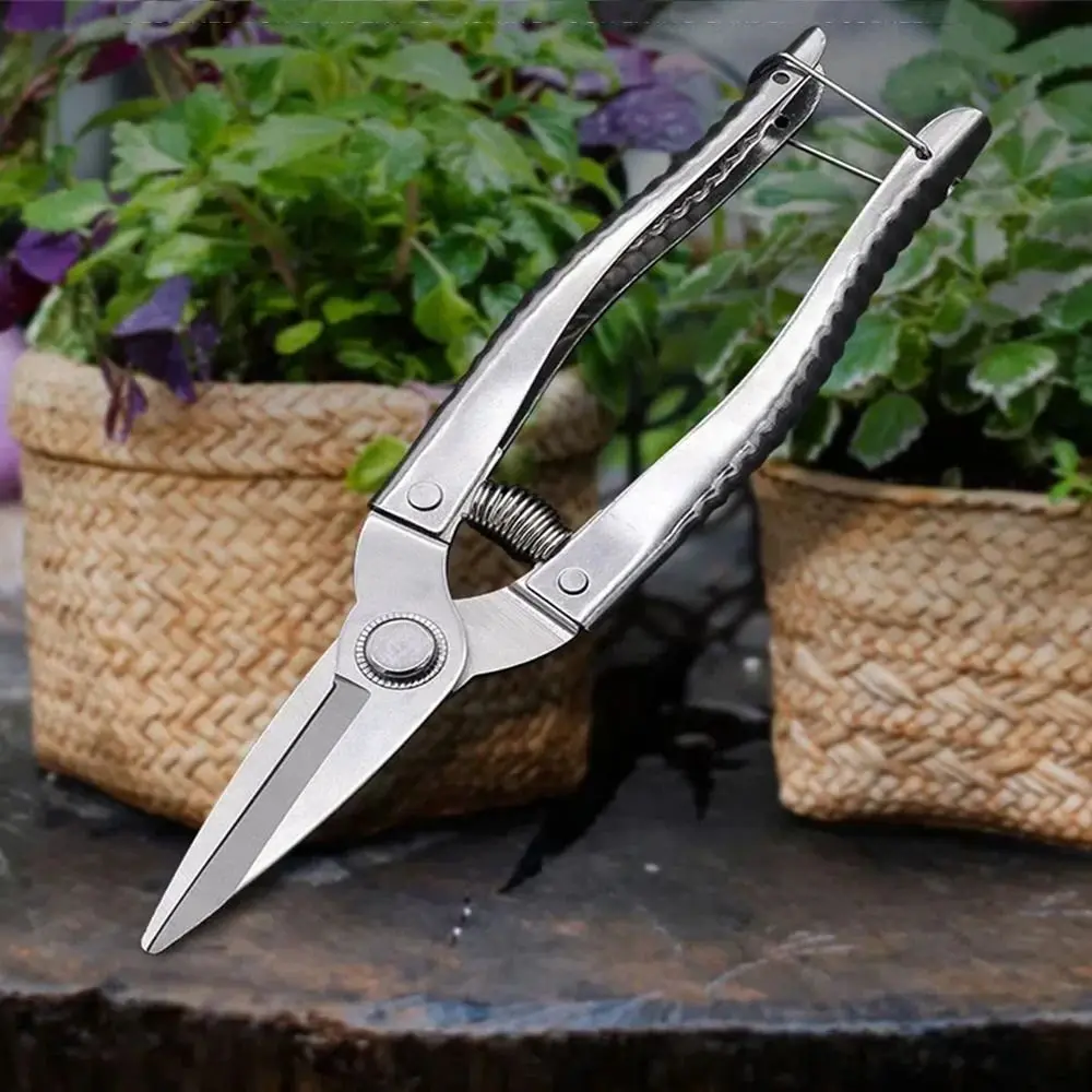 

Straight Head Household Pruning Shears with Automatic Return Spring Ergonomic Handle Branch Shears Durable Stainless Steel
