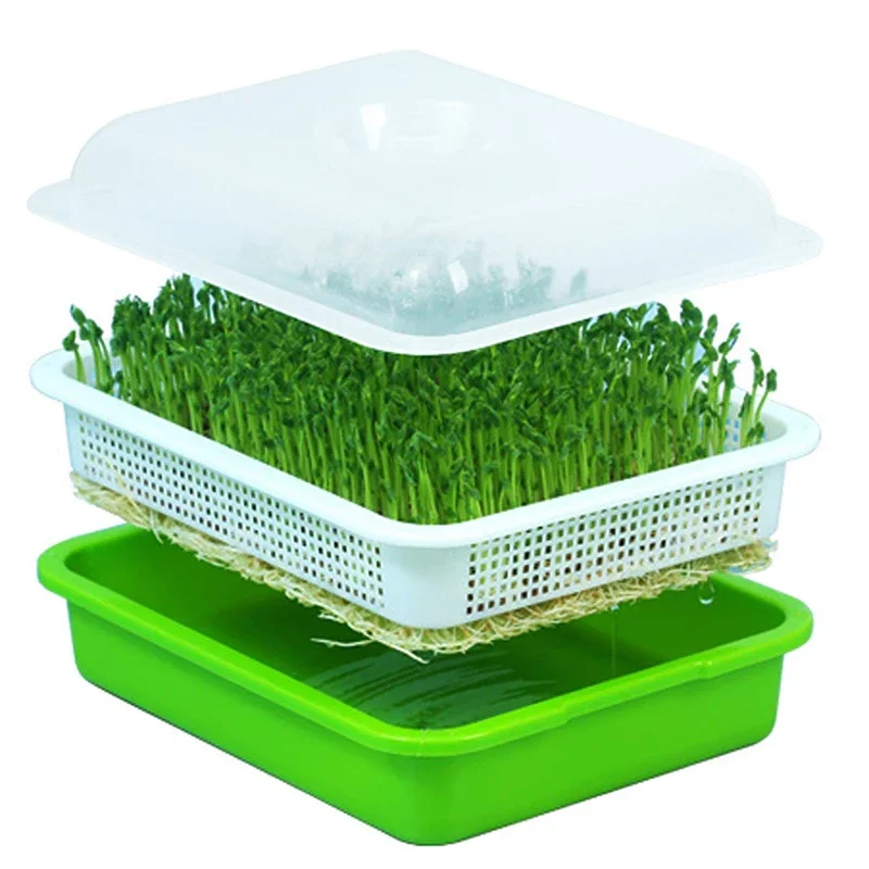 Garden Home Use Seed Sprouter Tray BPA Free PP Soilless Bean Sprout Grower Seedlings Germination Tray Sprouting Kit with Lid