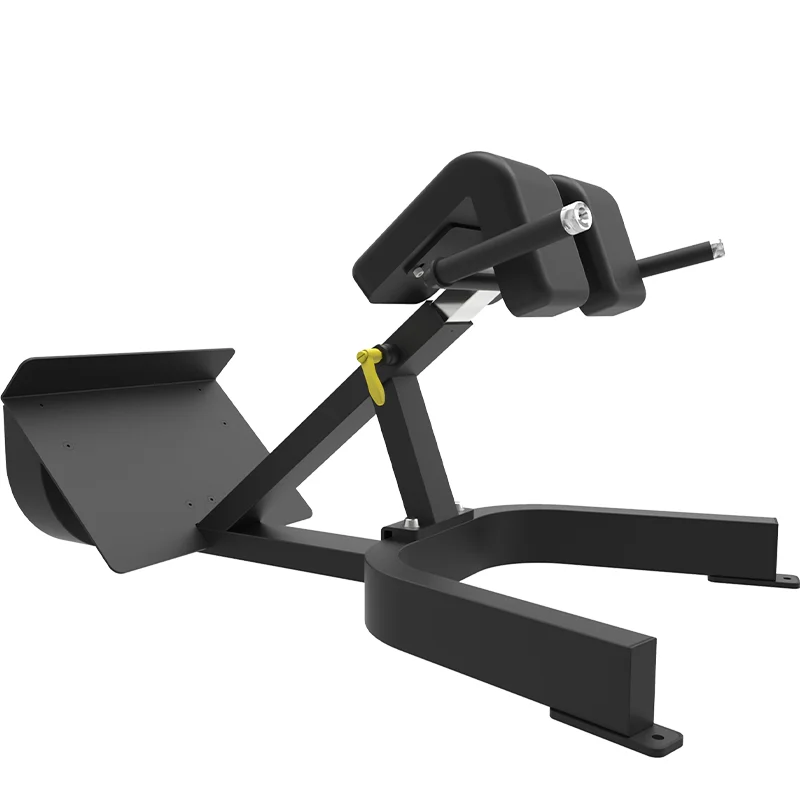 High Quality Commercial Gym Fitness Equipment Back Extension Machine