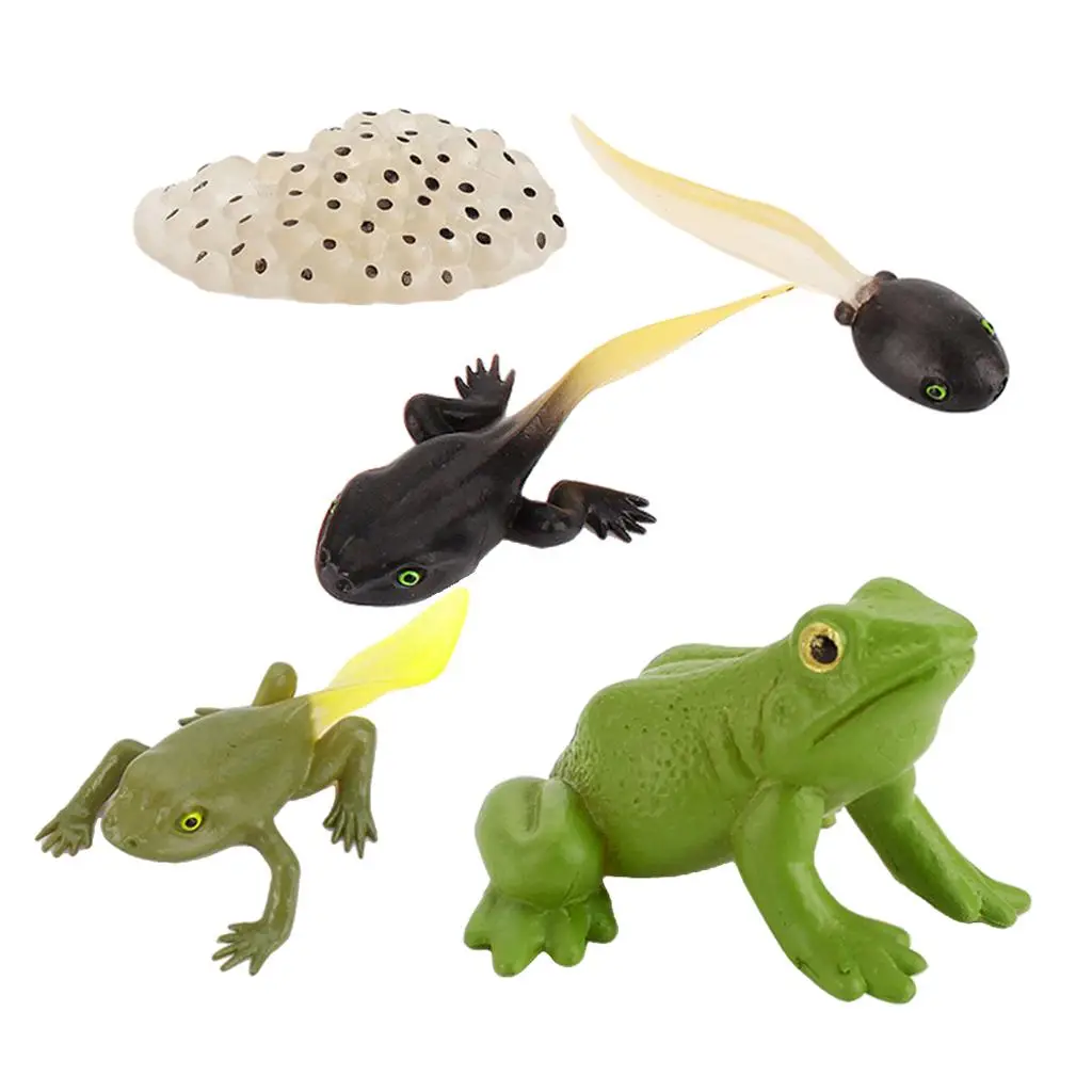 لعبة للأطفال مجموعة شخصيات حيوانات محاكاة مجموعة لعب عملية النمو