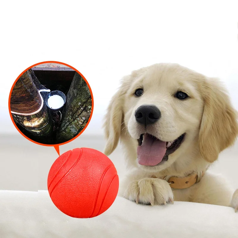 Thumbnail 3 - #39 Top 50 Puppy Rope Toys Worth Buying In 2026