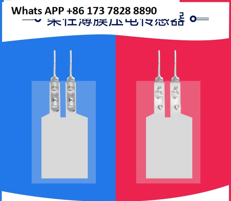 Pvdf Flexible Film …