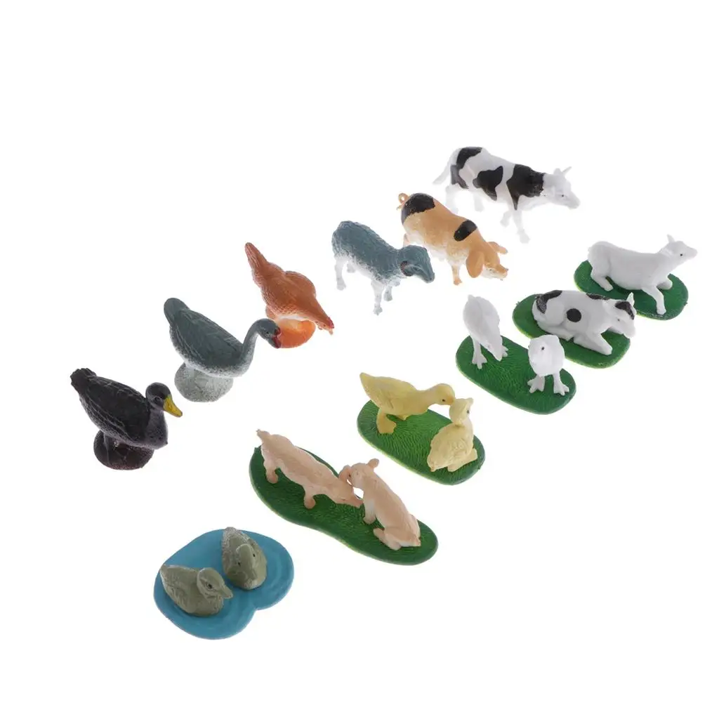 Montessori Toy 5 Years Old Animal Model Card Plastic Sensory Learning Toy for Early Education and Preschool Teaching Objects