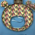 Colorful Kiwi