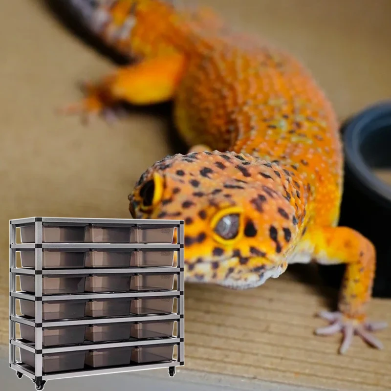 

80*28*16 Cm Commercial Luxury Black Pvc Reptile Enclosure Smart Lizard Reptile Breeding Cage With Heat Pad