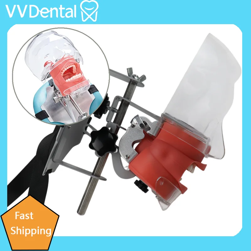 VVDental Dental Simulator Phantom Head Teaching Model Detachable 28/32 Teeth Typodont for Dentist Student Practice Training Exam