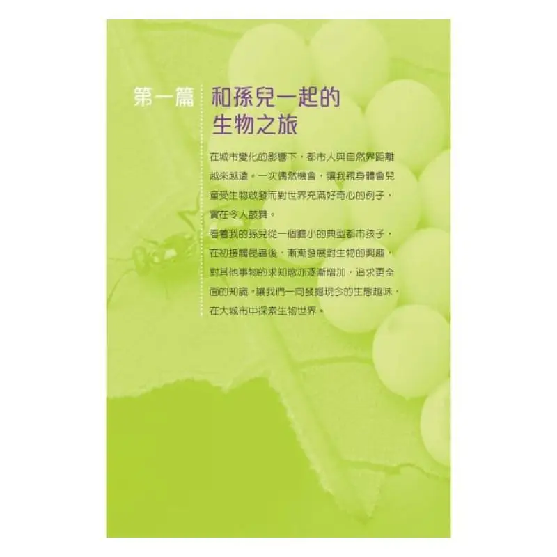 Insect Hunt An Exploration Journey Of Small Creatures In Big Cities Revised Edition Li Xiyu 9789620766091