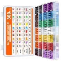 300Pcs Fuse Assortment Kit, 160 Mini Blade Fuses Automotive+90 Standard Fuses+50 Micro Fuse + 1 Puller – for Car Truck (2-40A)