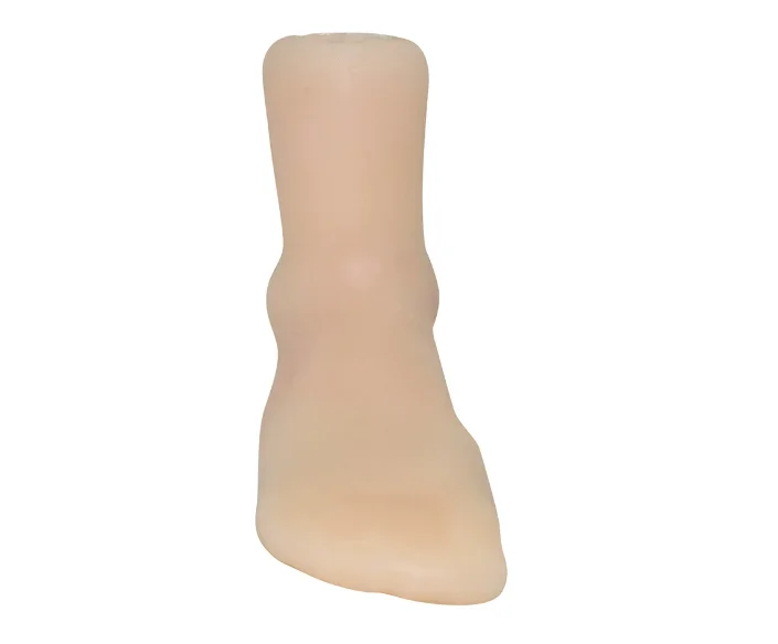 Arthroscopy Training Model, Ankle Model, Soft and Bendable