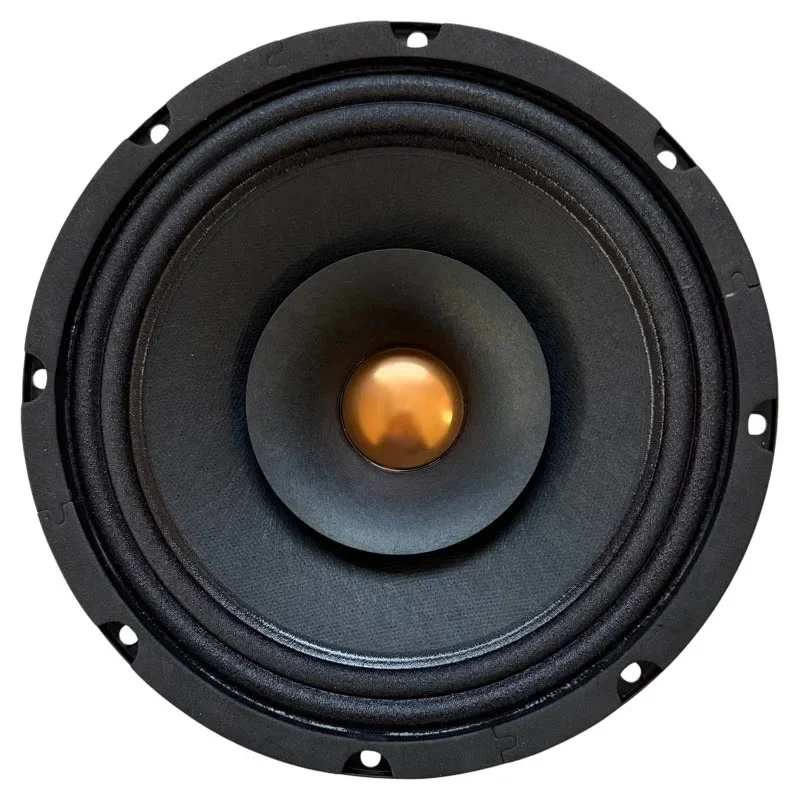10 Inch Alnico Magnet Full‑Range Speaker Wool Paper Cone Rich Overtone Delicate Treble Sound HiFi Home Audio Loudspeaker Driver