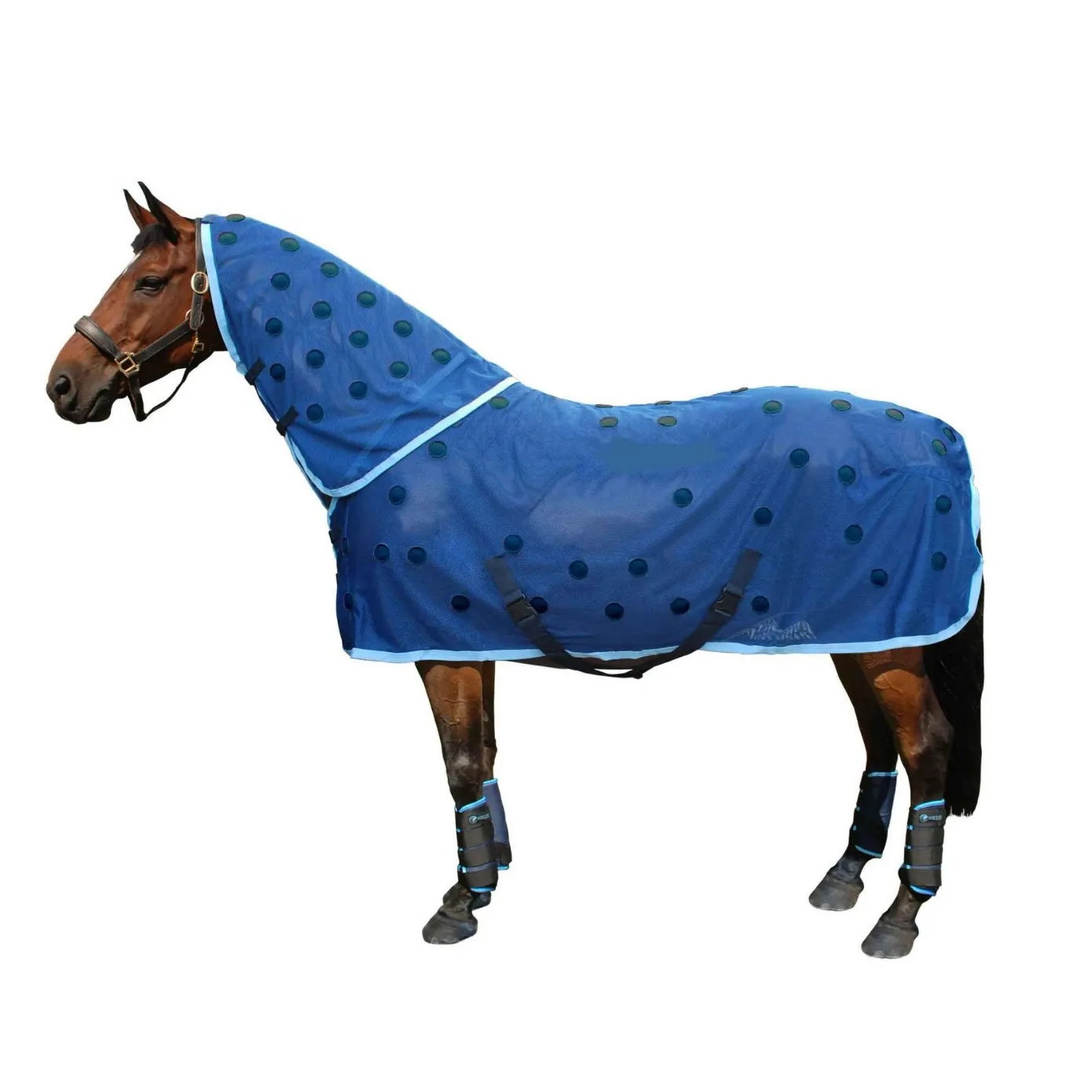 Horse Blanket Customized Standard Mesh Sheet Blanket Magnet Horse Rug