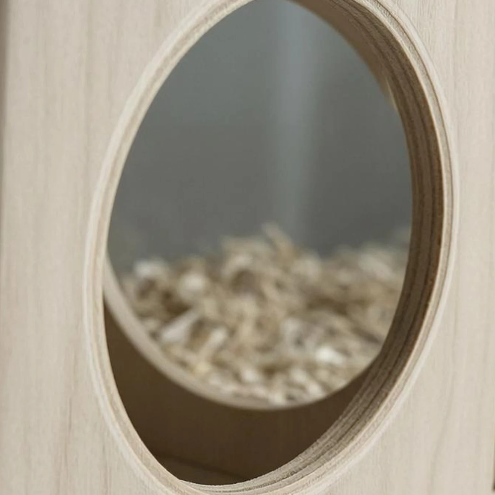 

Hamster Hideout Platform Circular Openings Hamster Playhouse Enclosure Accessory Set Natural Wood Creature Playground Flat Top