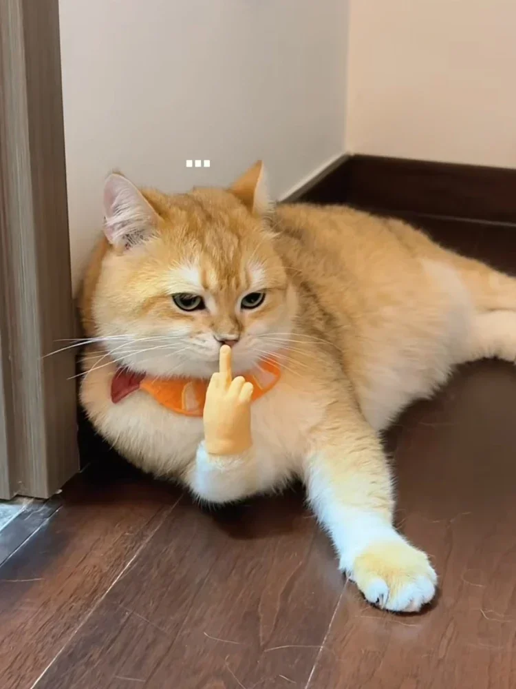 قفازات يد مزيفة للقطط قابلة للتمدد على شكل كف اليد ، ألعاب قطط سيليكون مضحكة ، أيدي صغيرة ، إيماءات إصبع إبداعية ، زينات القطط #1