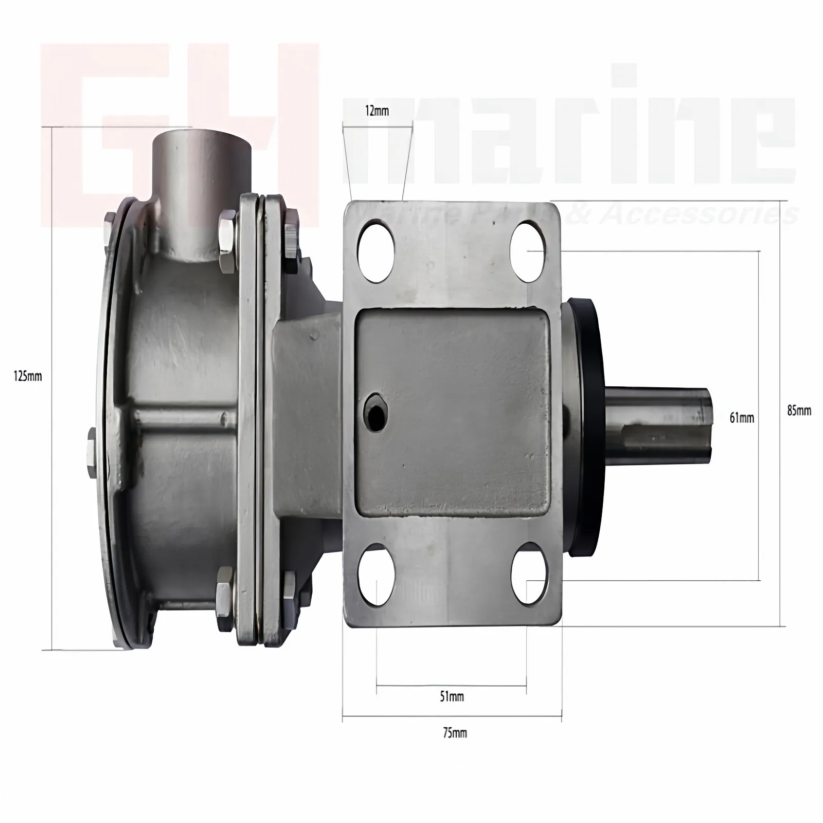 New high-performance multifunctional high-flow self-priming flexible stainless steel impeller pump 1-1/4 