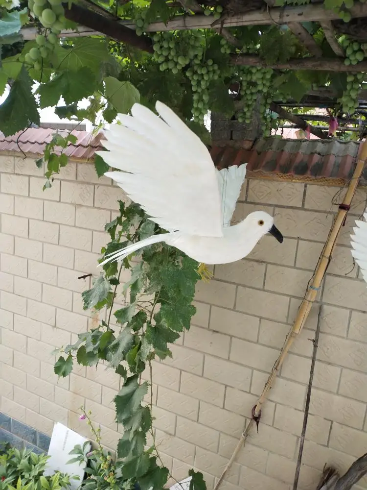 white real life pigeon model foam&feather wings black-mouth dove bird about 30x50cm xf2879