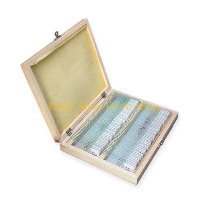 D84F Microscope Slides Kids Plastic Prepared Microscope Slides of Animals Plants Flowers Sample Specimens 25/50/100PC