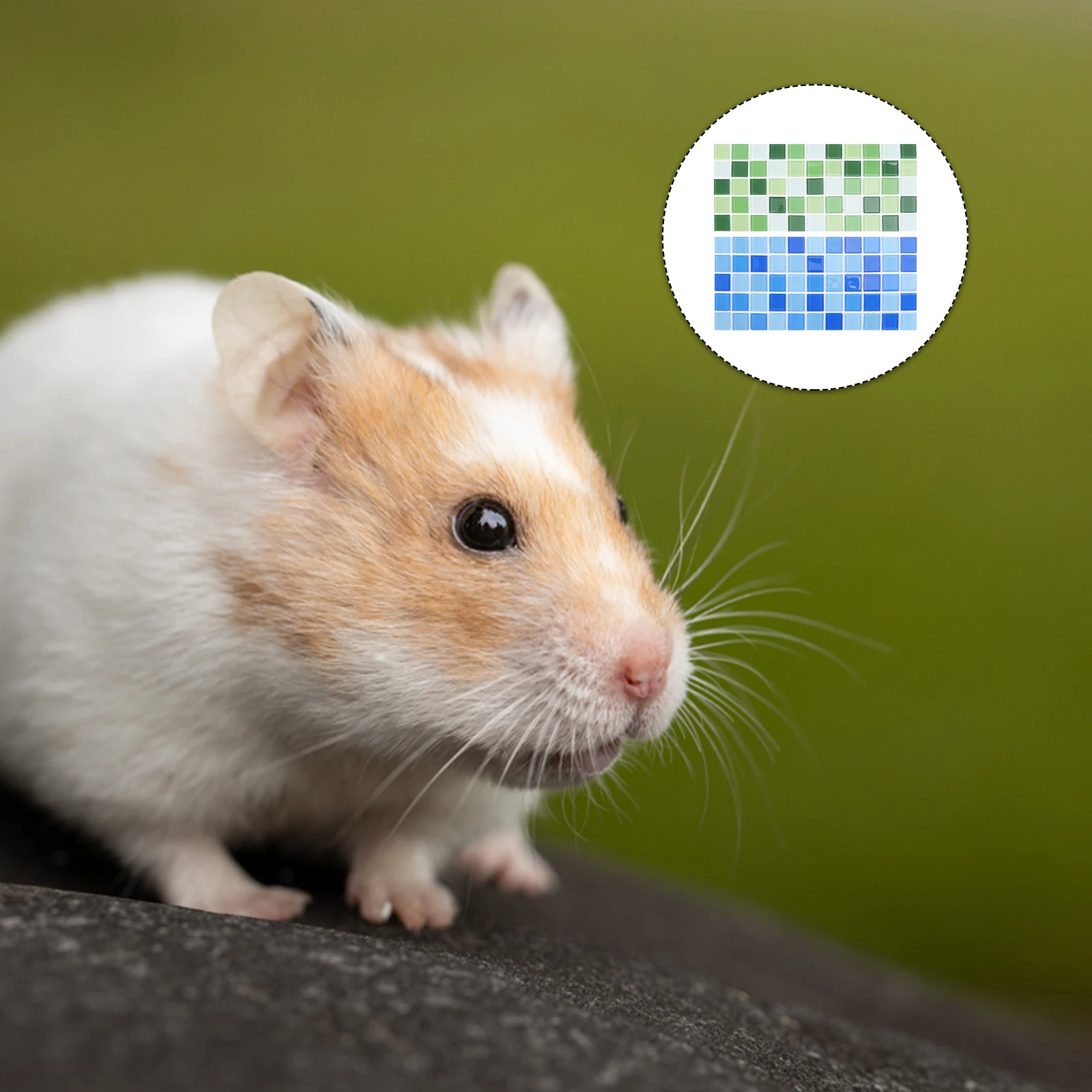 

2pcs Hamster Summer Cooling Pad Mat Pet Heat Dissipation Board Comfortable Sleeping Accessory for Small Pets Blue