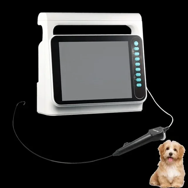 advanced cost-effective digital flexible ureteroscope video scope for urological treatment diagnosis