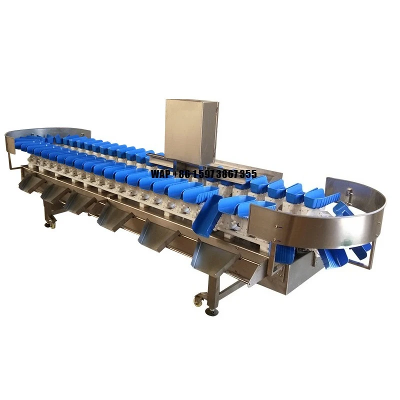 Automatic Fruit Vegetable Grading Sorting Machine
