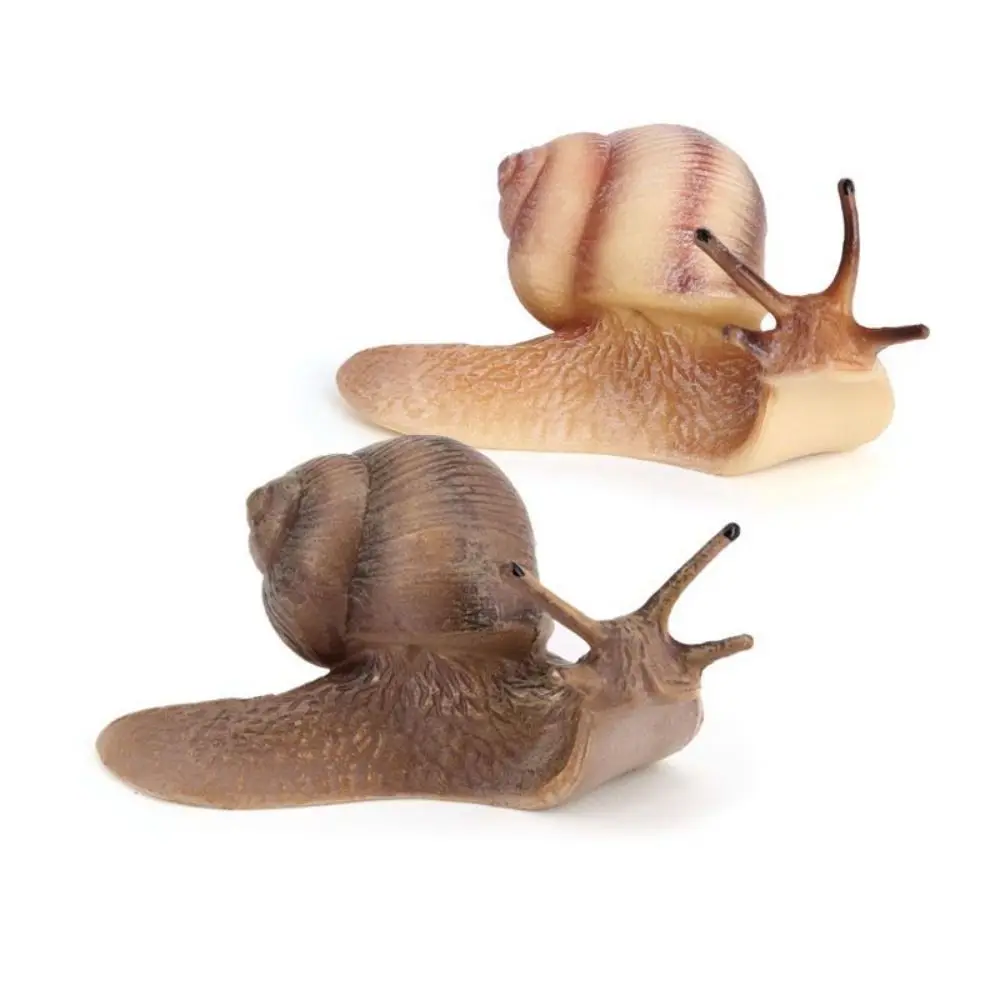 Quality Delicate Education Micro Landscape Children's Cognitive Snail Model Garden Decoration Snail Statue Simulation Insect