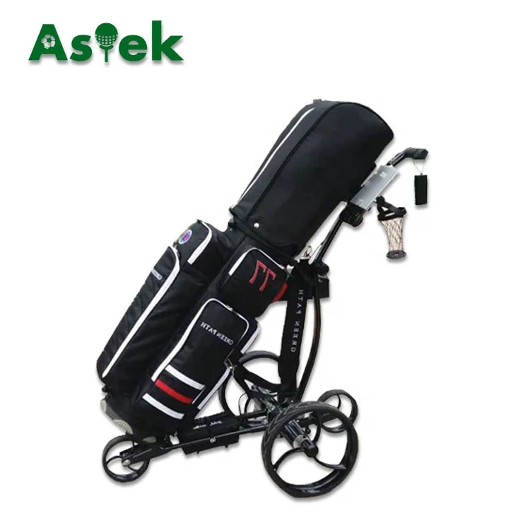 

Small Aluminum Frame 24V DC Lithium Battery Remote Control Folding Golf Cart