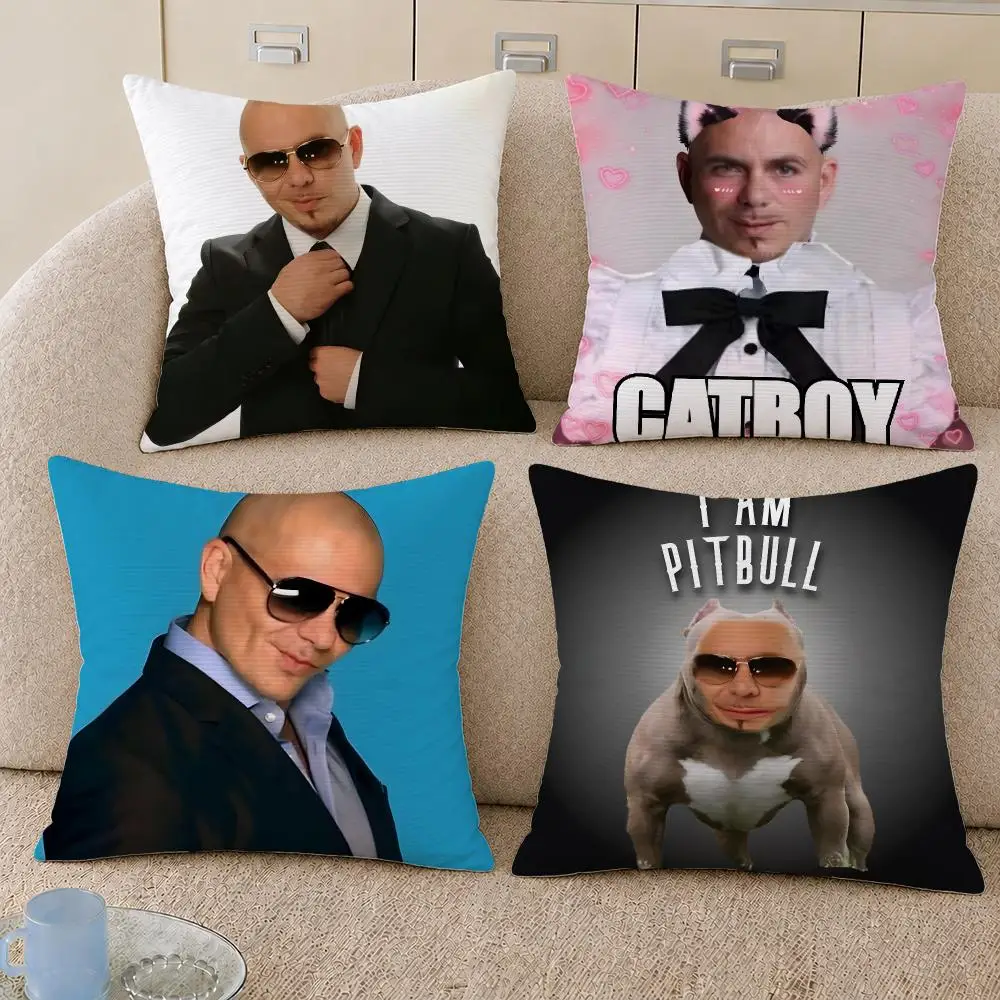 Singer Pitbull Mr Worldwide Timber Cushion Cover Decorative Pillowcase Soft Short Plush Cozy Durable Sofa Home Decor Items Gift