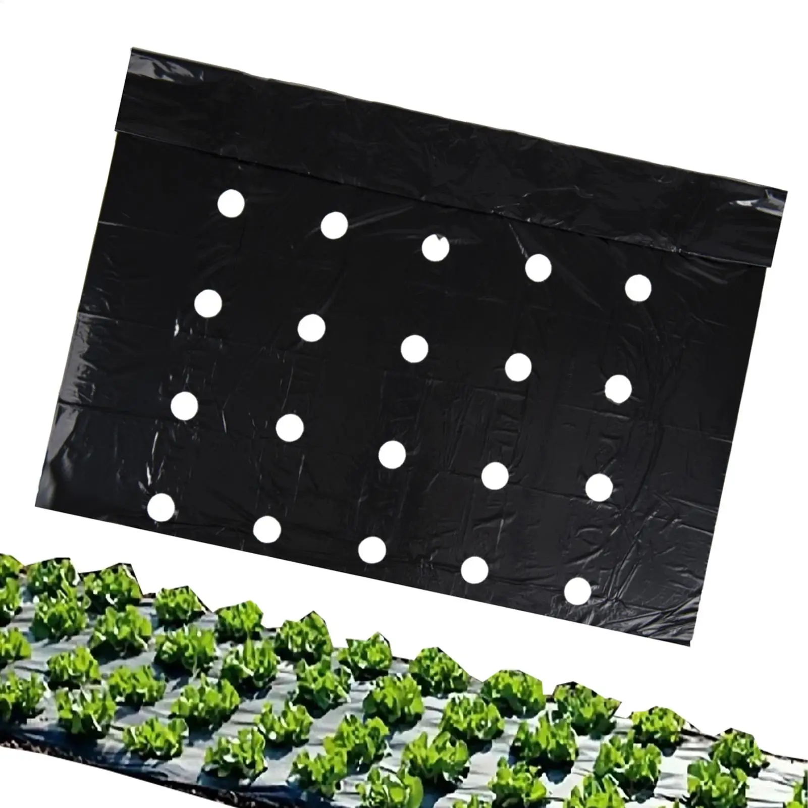 Mulch Film With Holes 32.8x3.12ft Perforated Black Mulching Membrane Frost-Proof Plant Mulch Layer For Strawberry Vegetable