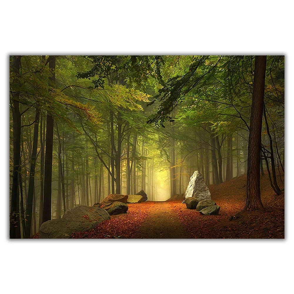 SP060 Silk Cloth Wall Poster Landscape- Forest Misty Pines Woods Trees Art Home Decoration Gift