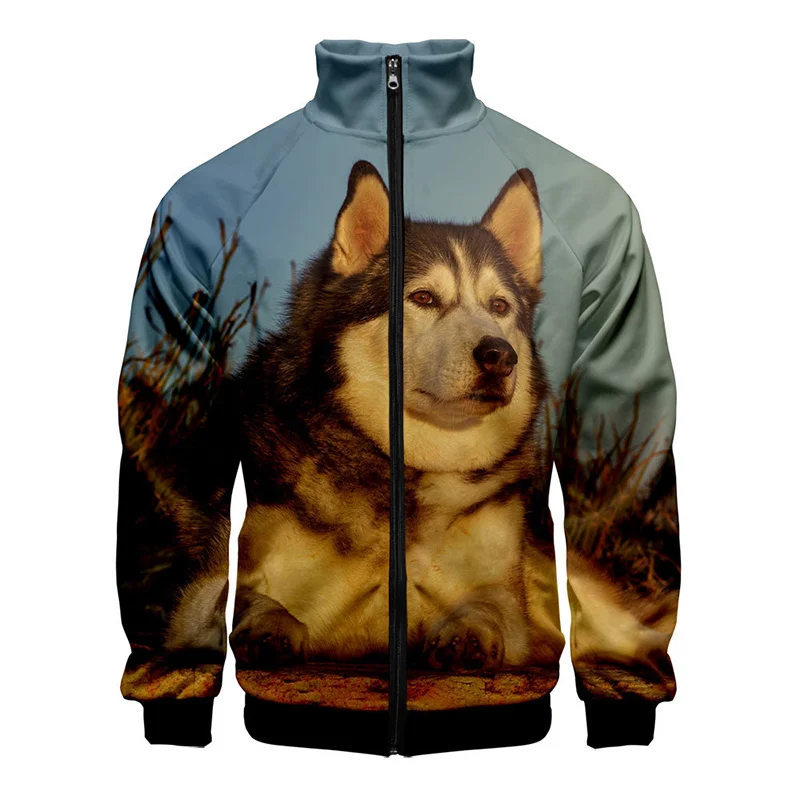 New 3D Cute Husky Printed Jacket For Men Winter Animal Dog Graphic Jackets Kid Fashion Funny Streetwear Clothing Vintage Clothes