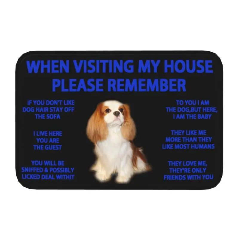 Cavalier King Charles Spaniel Front Door Mat Anti-Slip Outdoor Quick Dry Dog Doormat Kitchen Balcony Entrance Rug Carpet