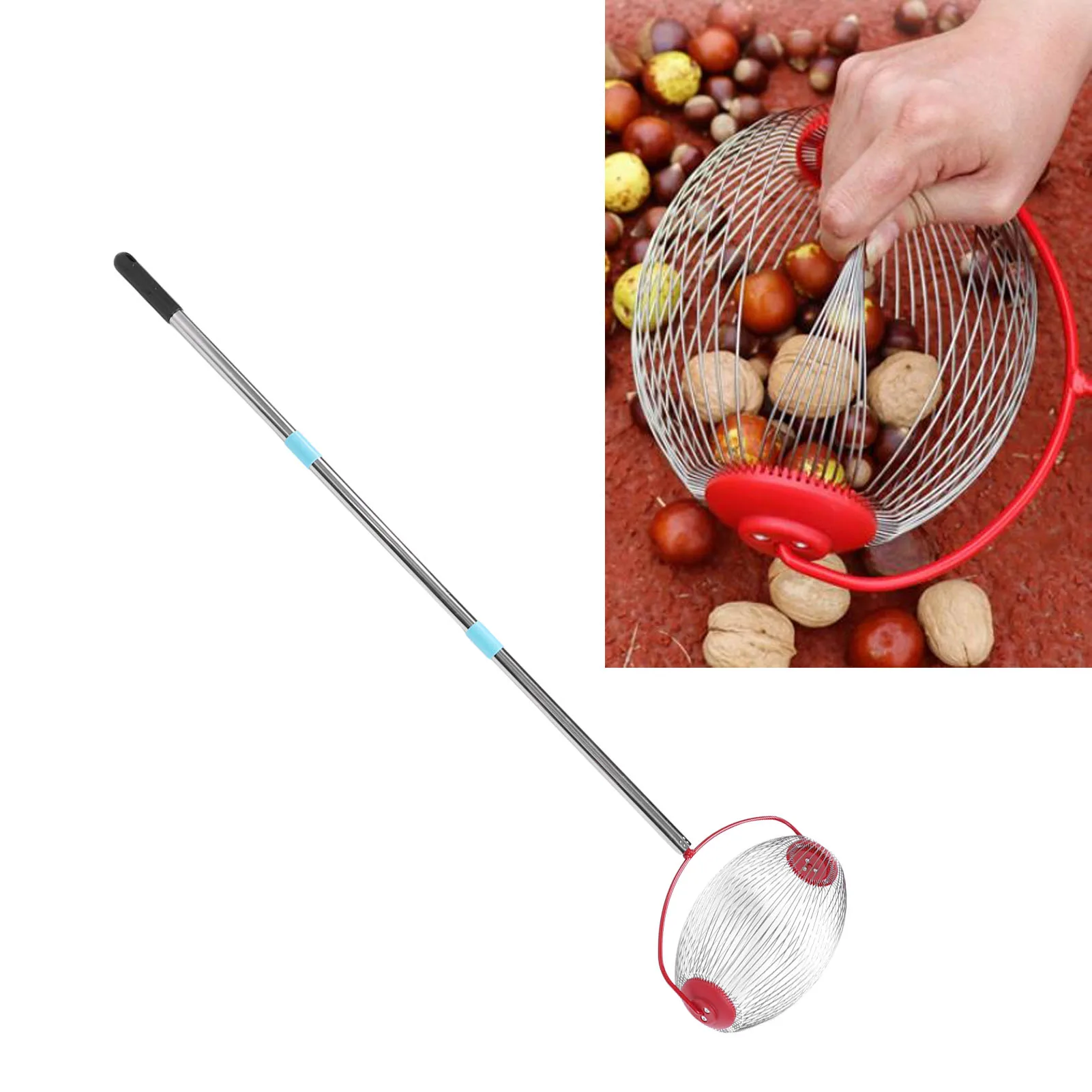 

Multifunctional Rolling Nut Collector 44.7 Inch 3 Section Stainless Steel Acorn Picker Upper Roller For Pecans Walnuts Picking
