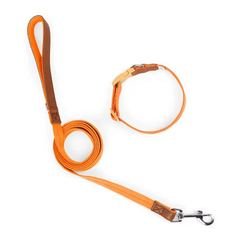 

Escape-Proof Nylon Solid Training Collar & Leash Set with Ribbons for Small & Medium Dogs-Fashion Simple Modern