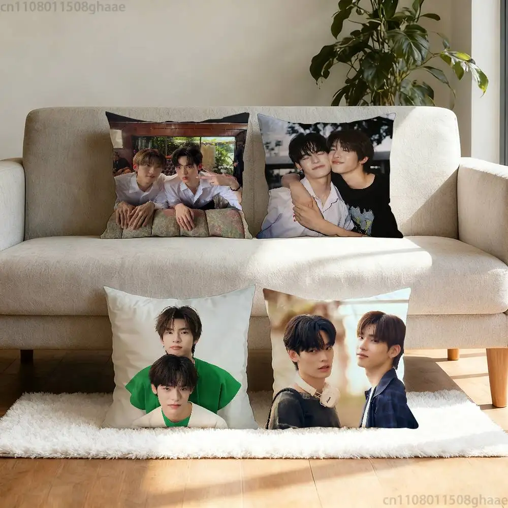 D-Duang TV Series with You Pillow Case Pillow Case Living Room Sofa Cushion Cover Suitable For Home Bedroom Room Decoration