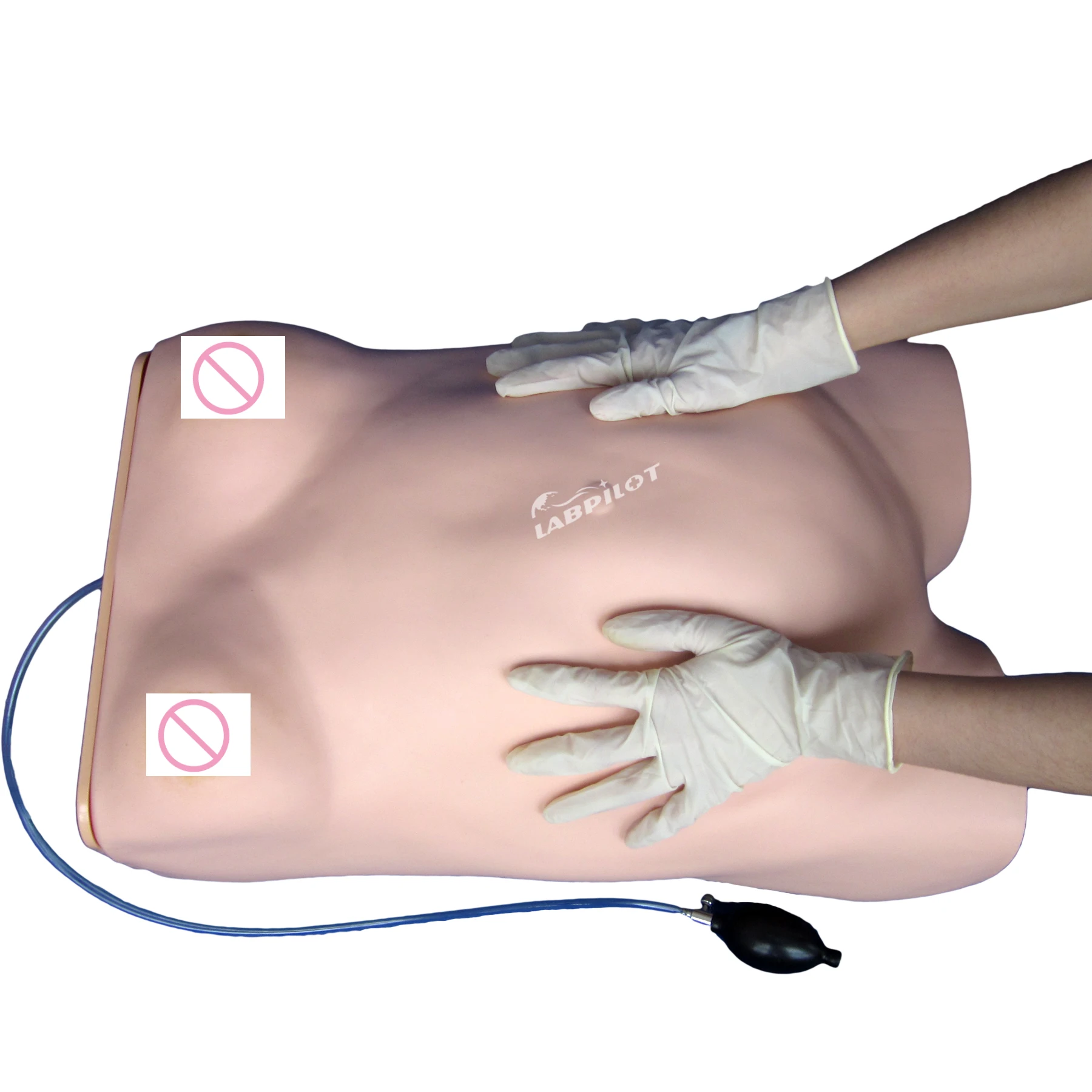 

Maternity Examination Simulator Abdominal Palpation Pregnant Women Care Manikin Nursing Birthing Mannequin