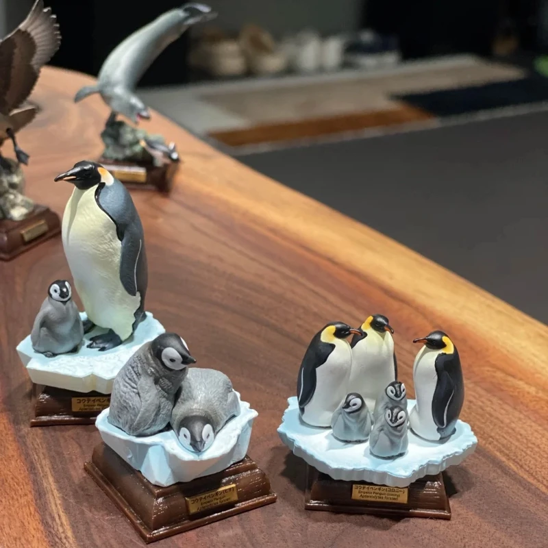 IKIMON tueur baleines Collection figurine jouet japonais véritable Gacha échelle modèle antarctique continent Codex vie chroniques