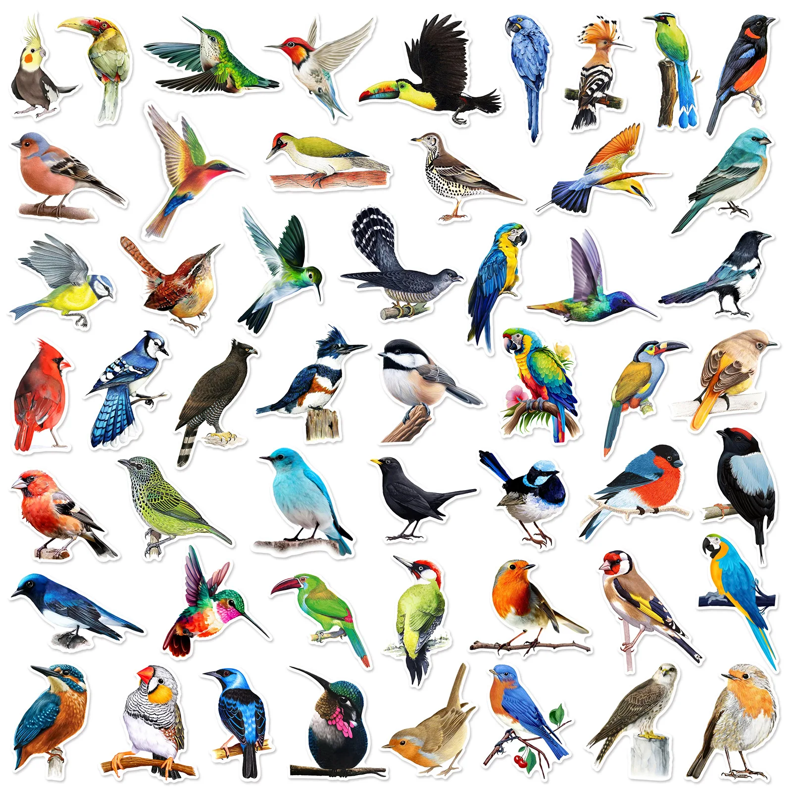 50 stuks kleurrijke vogels dieren cartoon graffiti stickers diy telefoon gitaar laptop notebook koffer beker waterdichte sticker kinderen speelgoed