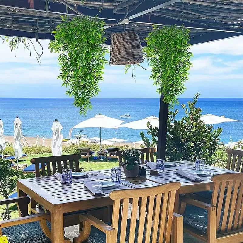 2개 UV 차단 변색 없는 인조 담쟁이덩굴 화초, 풍성한 줄기, 사실적인 인조 녹색 식물 - 사계절 야외 장식