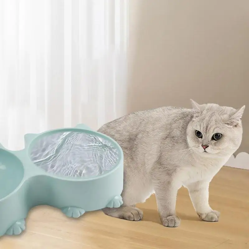 Elevated Cat Bowls For Food And Water Cat Design Tall Cat Dishes Tilted Raised Pet Feeder Dish Elevated Puppy Bowls Cat Feeder