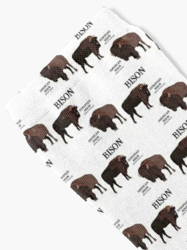 Bison (with Scientific Names) Socks