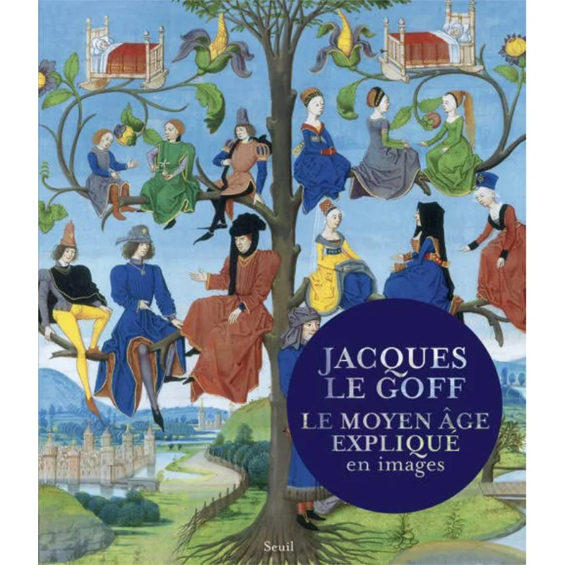 The Middle Ages Explained In Pictures Jacques Le Goff Seuil 9782021105605 Book