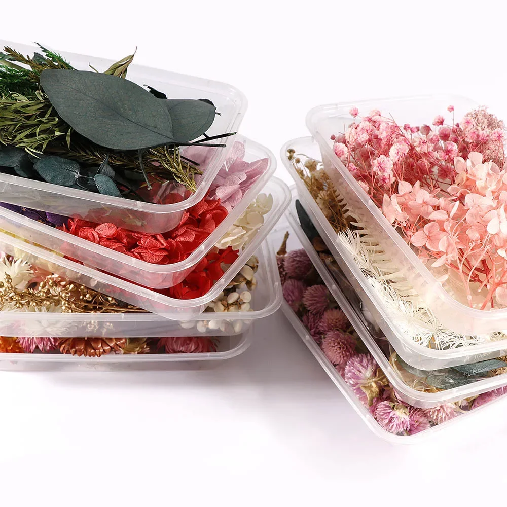 Dry Flower Handmade Material Package Embossed Photo Frame DIY Material Package Immortal Flower Box Mixed