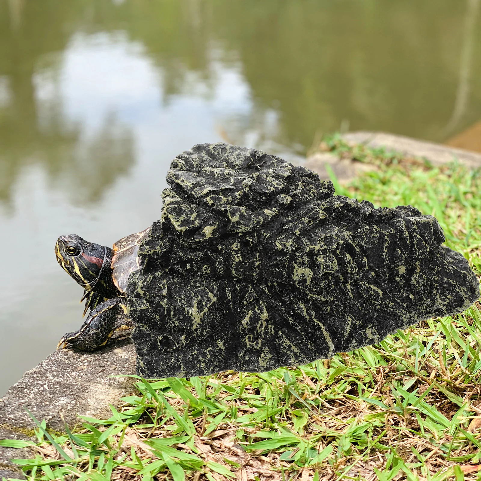 

Safe Reptile Cave High End Material Hard Texture Stain Resistant Durable Turtle Basking Playing Resting Hideout