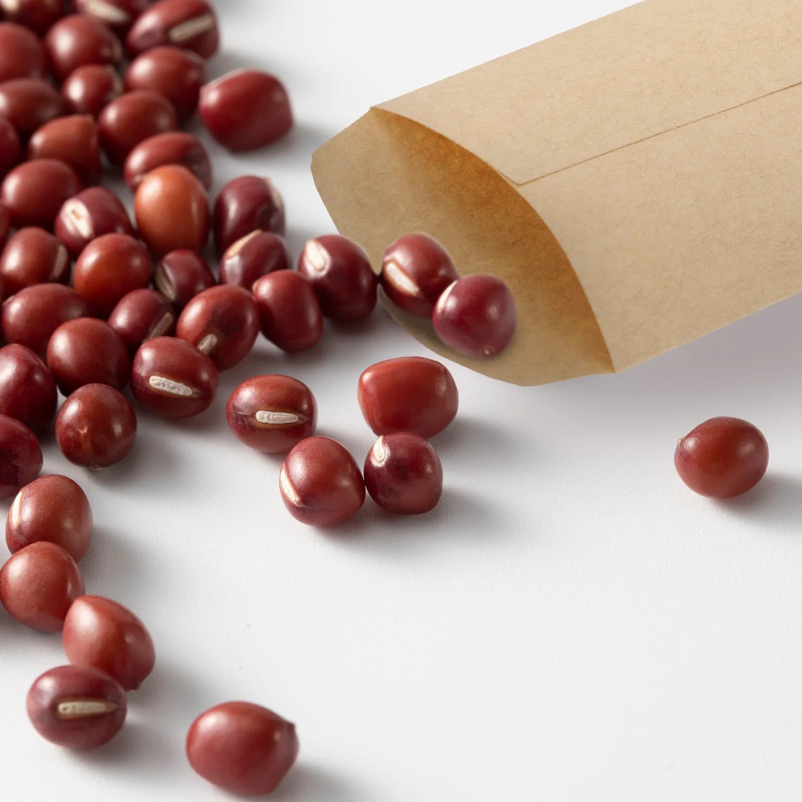 

100Pcs Seeds Storage Bags Premium Kraft Paper Envelope Pouches Biodegradable Breathable Small Items Storage Pouches