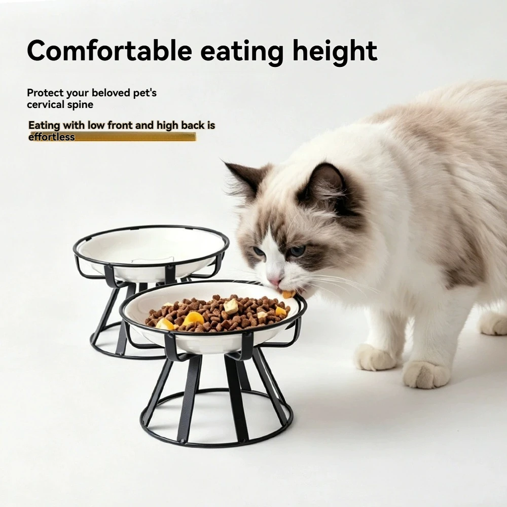Thumbnail 4 - #18 Top Rated Elevated Cat Feeding Bowls to Buy in 2026