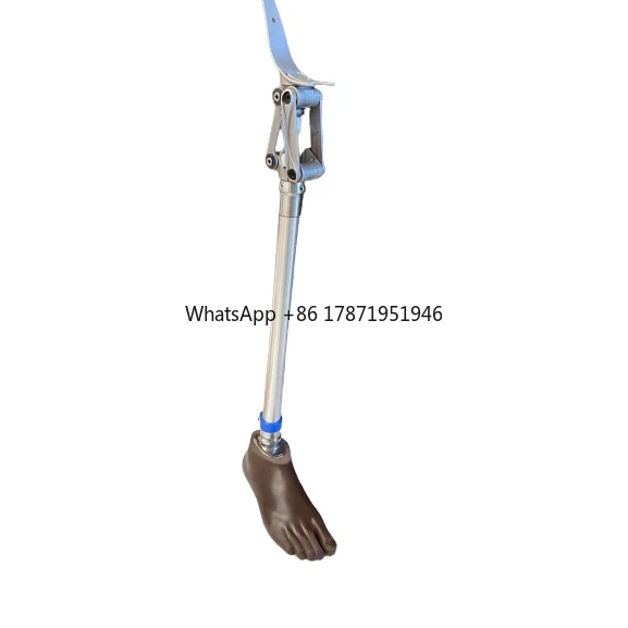 prosthesis leg artificial limbs implants  prosthetic leg prosthesis