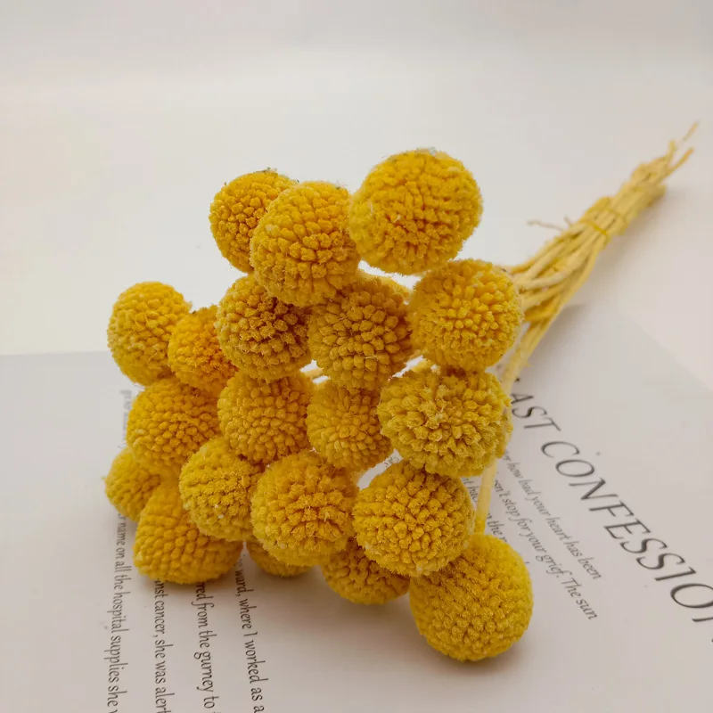 

Billy Button Balls Craspedia Golden Natural Dried Flower 10Pcs/lot for Wedding Party Decoration Preserved Flower Bouquet Gift