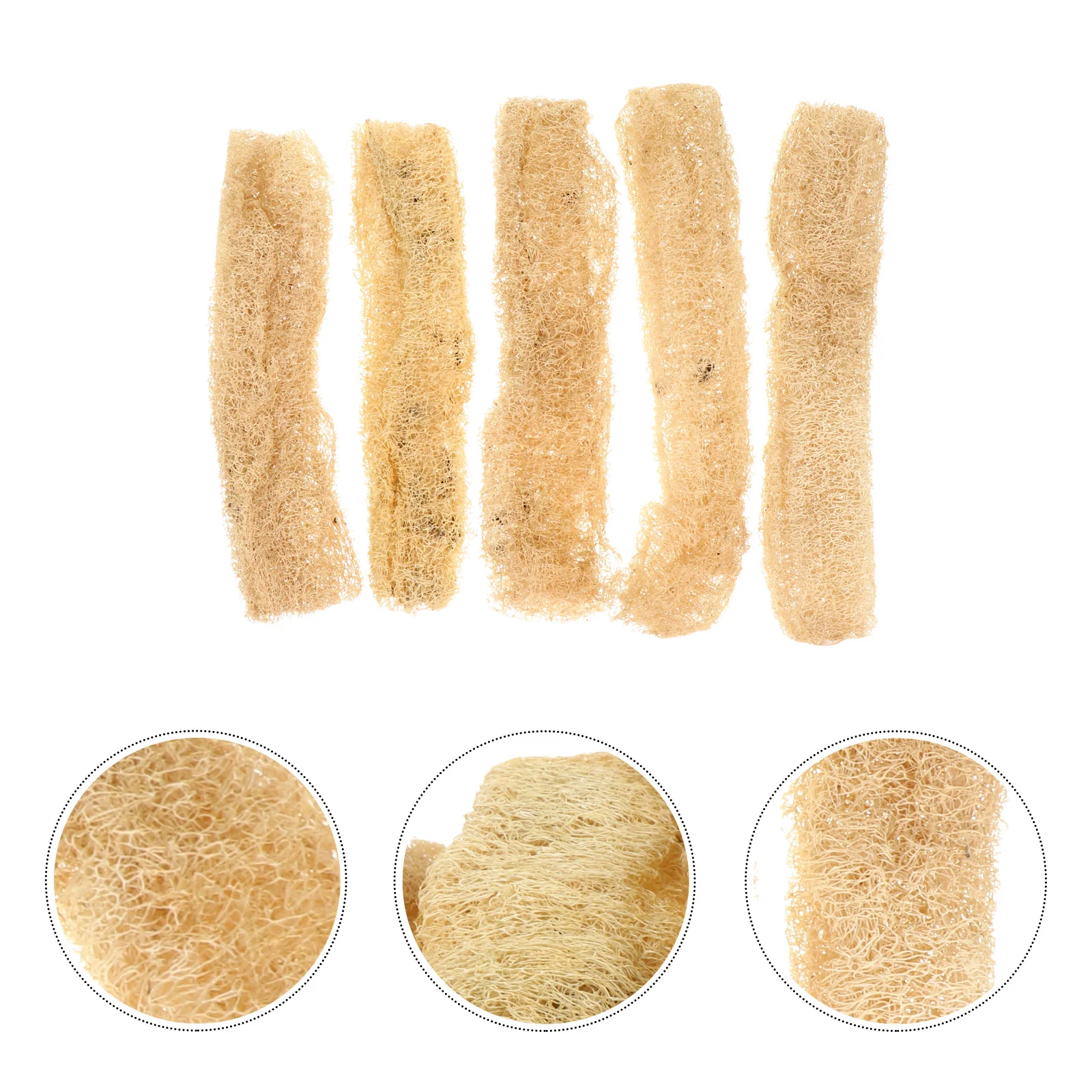 5 Pcs Loofah Puppy Chew Toys Pet Natural Body Scrubbers Molar Bath Tools for Small Animal Chewing Sponge